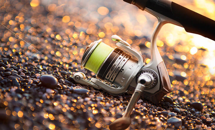 How to use a Spinning Reel